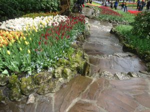 stopnice naravni kamen